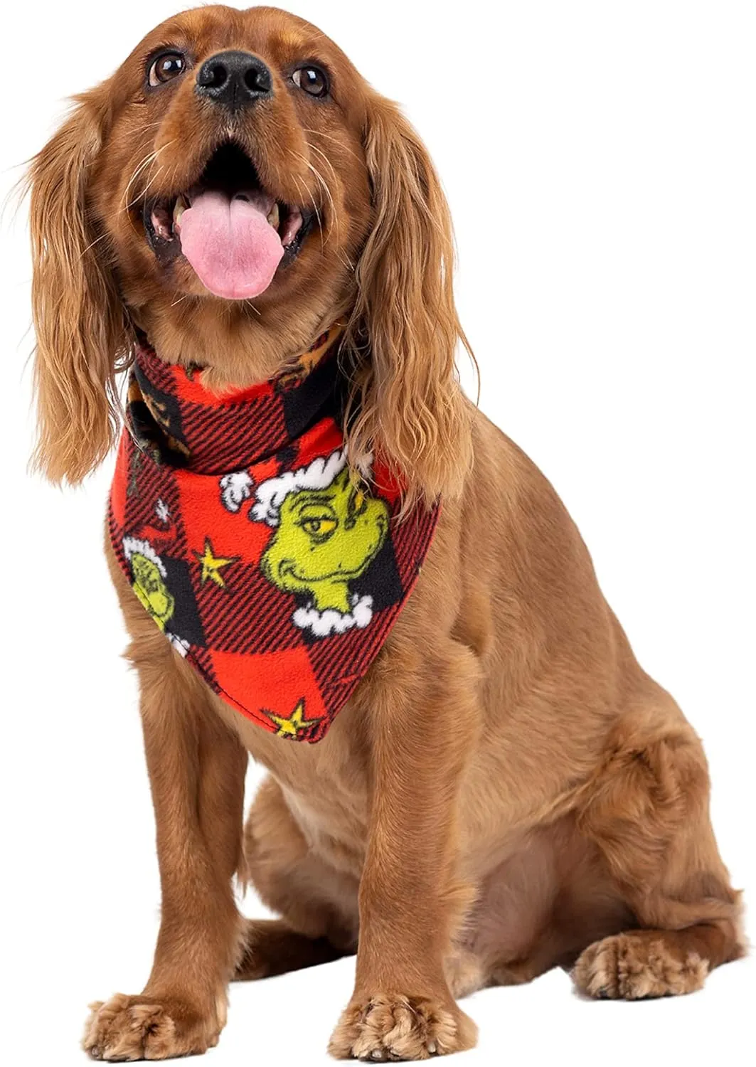 Dr. Seuss Grinch Christmas Pajamas With Matching Socks - Matching Family Adult Kids Pajama Sets